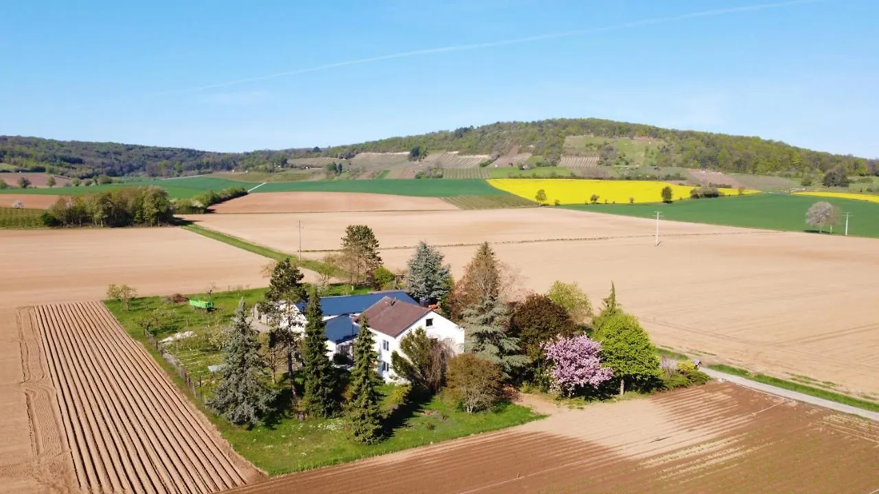 Ferienwohnungen Rosenhof Karlstadt